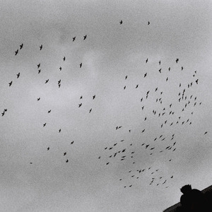 丰乳肥臀影院高清在线播放免费
