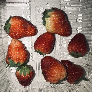 丰乳肥臀影院高清在线播放免费
